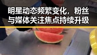 明星动态频繁变化，粉丝与媒体关注焦点持续升级